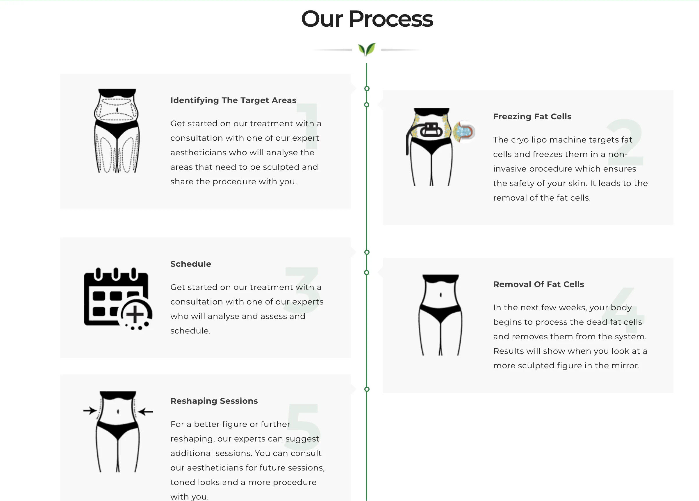 LIFE Cryolipolysis process: identifying target areas, freezing fat cells, scheduling, natural removal of treated fat cells and reviewing reshaping sessions