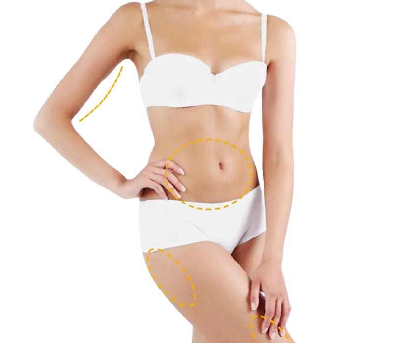 Body areas commonly discussed during a Zimmer consultation